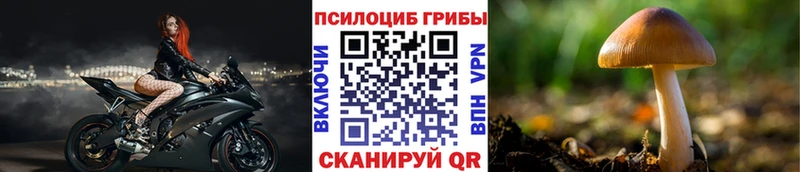 Псилоцибиновые грибы GOLDEN TEACHER  Знаменск 