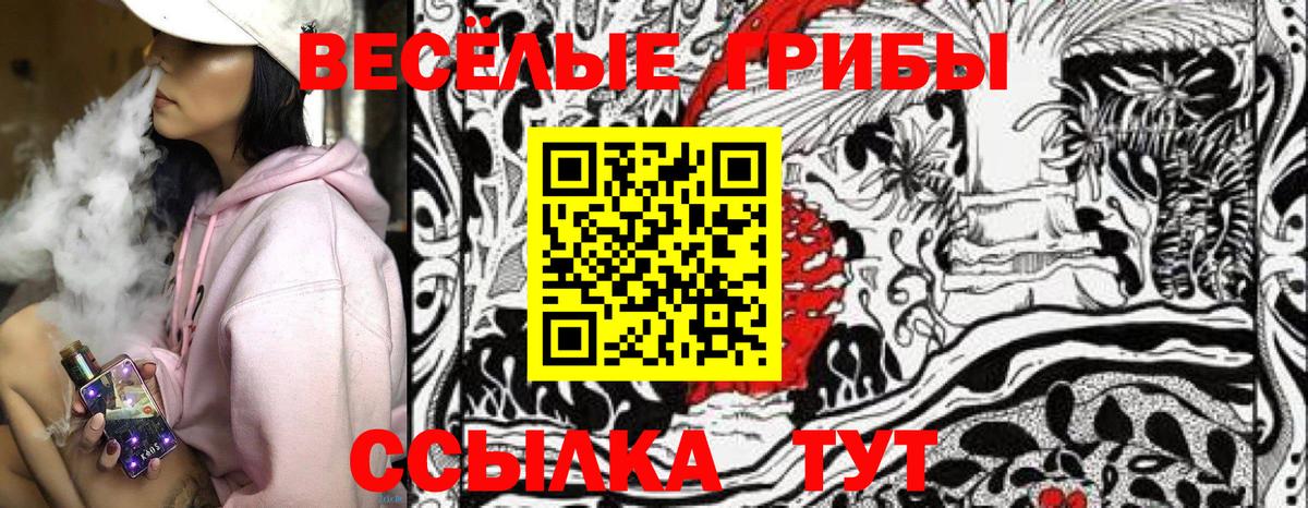 закладки  Галлюциногенные грибы ЛСД  Знаменск  Галлюциногенные грибы мицелий 