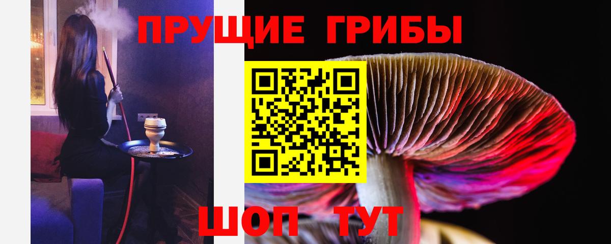 Галлюциногенные грибы Magic Shrooms Знаменск
