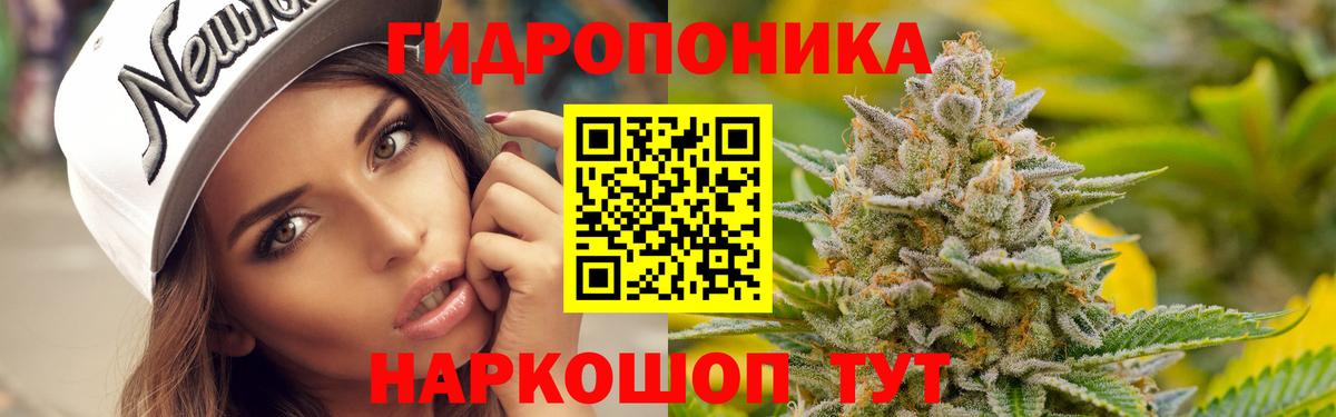 Канабис Amnesia  Вход с VPN  Каннабис конопля  Знаменск  Бошки марихуана Amnesia 